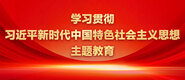 艹逼视频网页学习贯彻习近平新时代中国特色社会主义思想主题教育_fororder_ad-371X160(2)